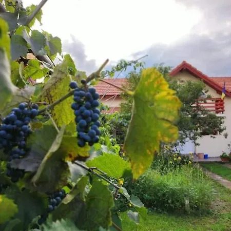 Casa Piatra Craivii, Aproape De Alba Iulia